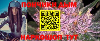 индика Заводоуковск